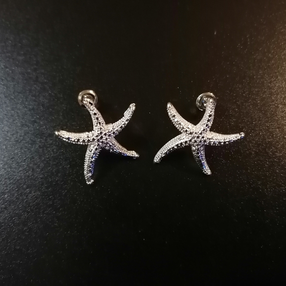 Starfish stainless steel silver earrings - Picture 3 of 4